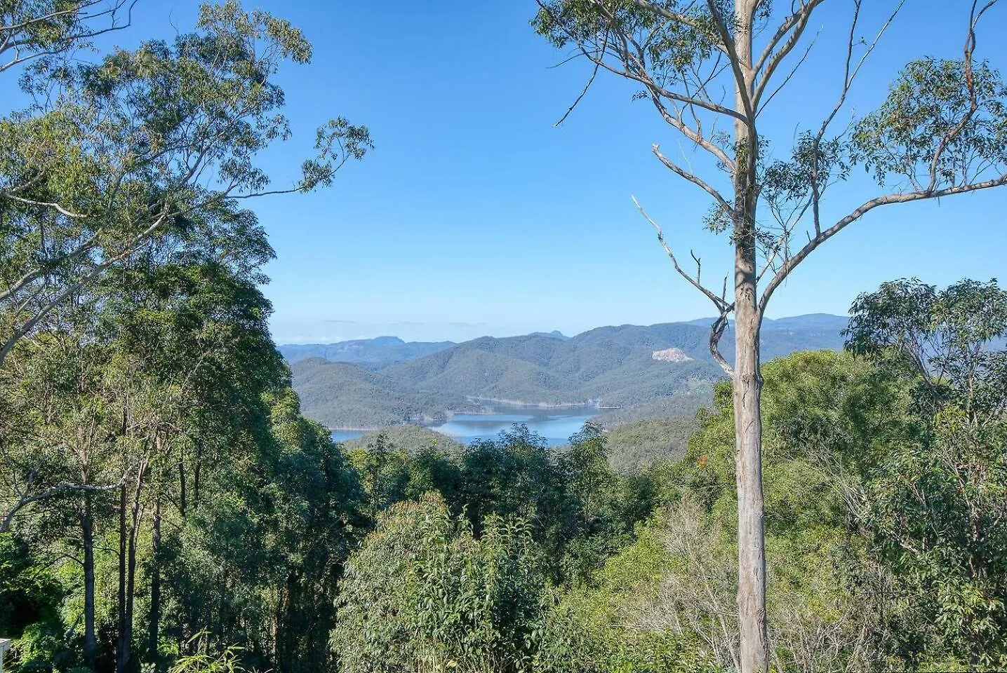 Misty Mountain View - A Tree-Lined Tropical Oasis Villa Lower Beechmont Vakantiehuis